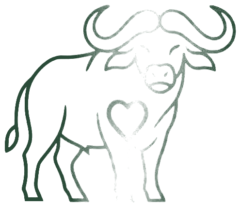 Lijntekening van een buffel met een hart in de borst